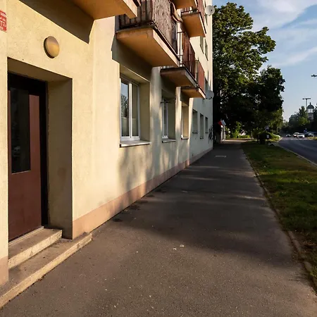 Uniwersytecka Standard By Bookinghost