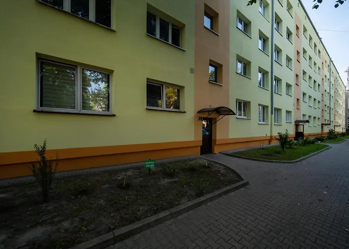 Uniwersytecka Standard By Bookinghost Daire *